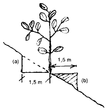 Những công việc khởi đầu