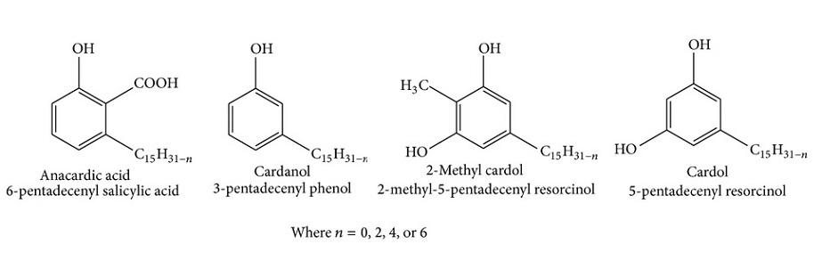 Thành phần cấu tạo của mạch Hydrocarbon