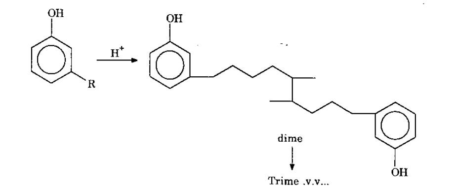 Polyme hóa cộng