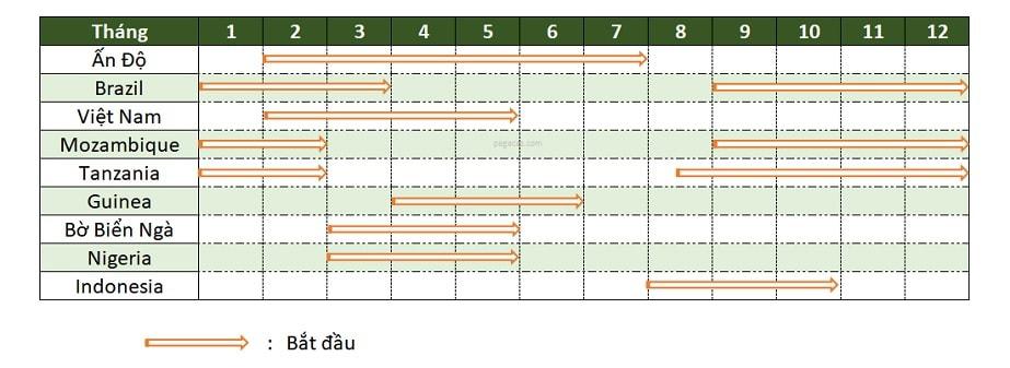 Mùa thu hoạch điều ở một số nước (Phạm Đình Thanh, 2003)